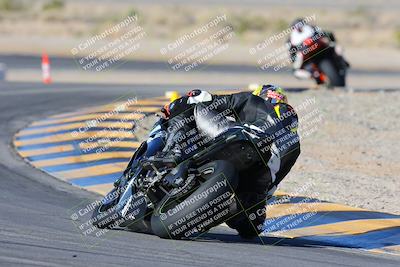 media/Feb-03-2024-SoCal Trackdays (Sat) [[767c60a41c]]/2-Turn 11 (10am)/